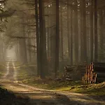 Chalet Reewold Veluwe Putten