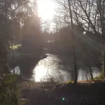 Reewold Veluwe * Putten