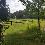Reewold Veluwe