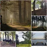 Reewold Veluwe Chalet *