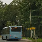 Reewold Veluwe Chalet Putten