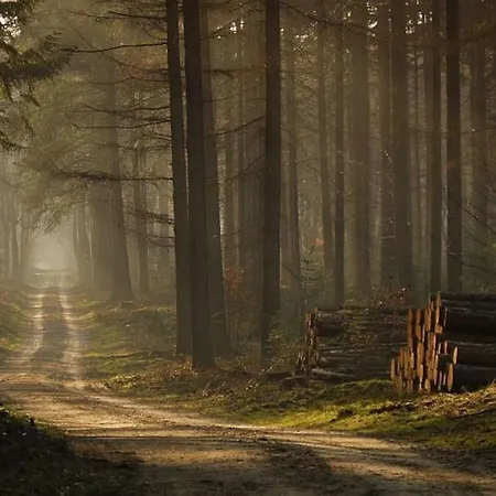 Chalet Reewold Veluwe Putten