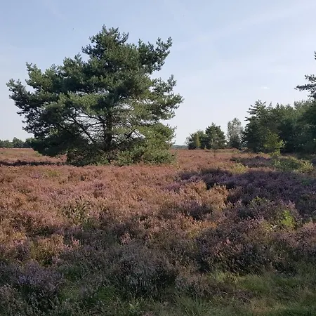 Reewold Veluwe Horská chata *