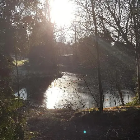 Reewold Veluwe * Putten
