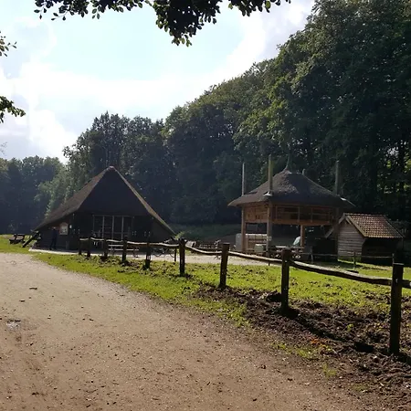 Reewold Veluwe Putten