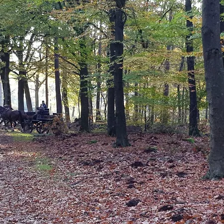Reewold Veluwe *