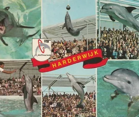 Reewold Veluwe * Putten