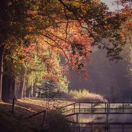 Chalet Reewold Veluwe *