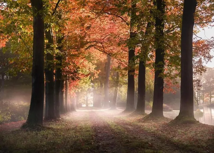 Reewold Veluwe * Putten