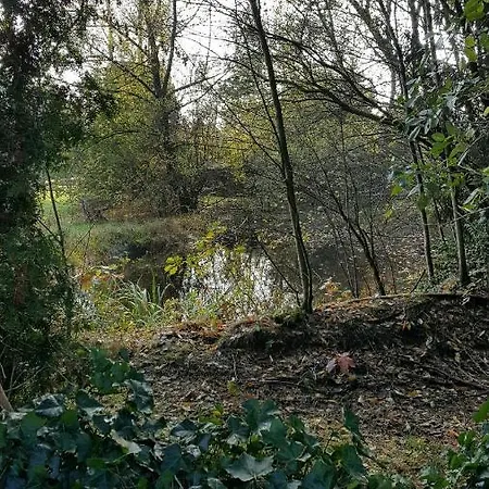 Reewold Veluwe Domek alpejski *