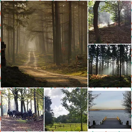 Reewold Veluwe Domek alpejski *