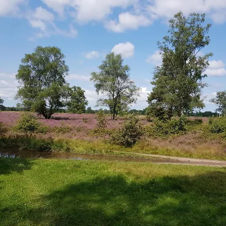 Reewold Veluwe *