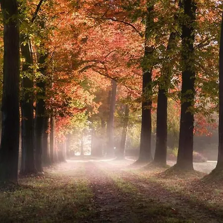 Reewold Veluwe * Putten