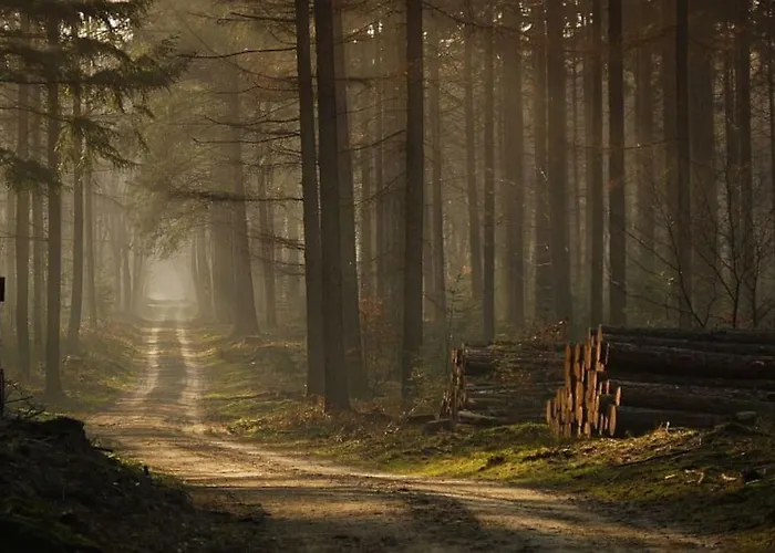 Chalet Reewold Veluwe Putten