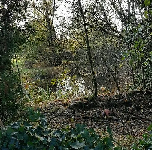 Reewold Veluwe Chalet *