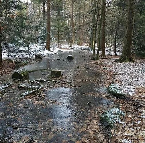Reewold Veluwe *