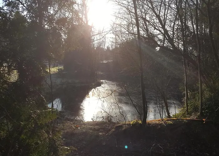 Reewold Veluwe * Putten