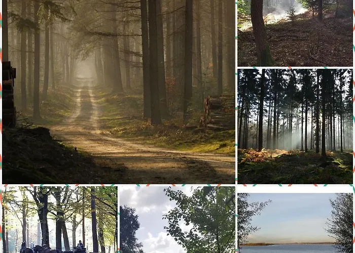 Reewold Veluwe Chalet *