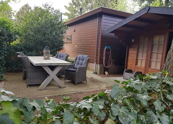 Reewold Veluwe * Putten