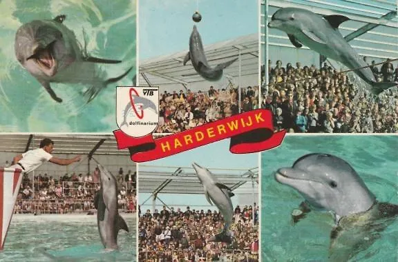 Reewold Veluwe * Putten