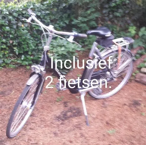 Reewold Veluwe Chalet